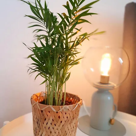 Apartmán Charmante Maisonnette-dachgeschosswohnung In Zentraler Lage *