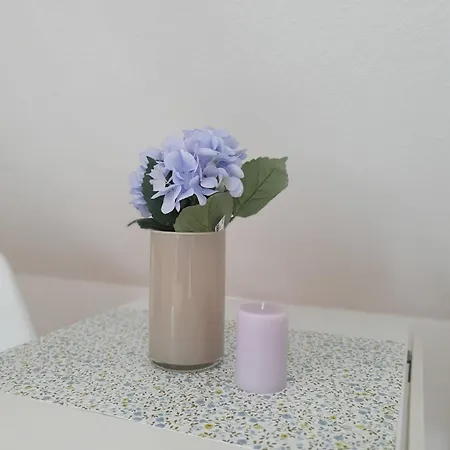 Apartmán Charmante Maisonnette-dachgeschosswohnung In Zentraler Lage Rostock