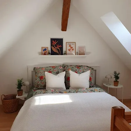 Charmante Maisonnette-dachgeschosswohnung In Zentraler Lage Apartmán